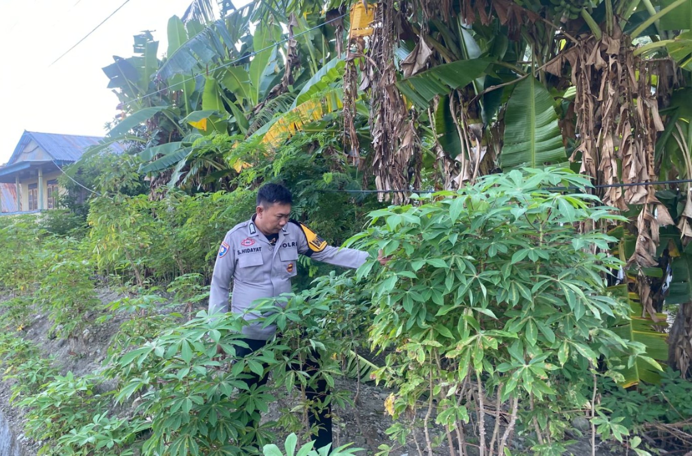 post-image